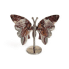 papillon agate crazy lace n°1