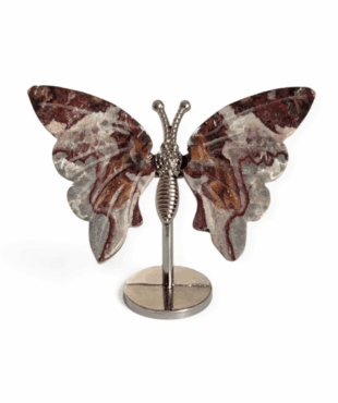 papillon agate crazy lace n°1