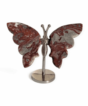 papillon agate crazy lace n°2