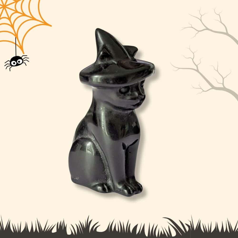 chat halloween obsidienne