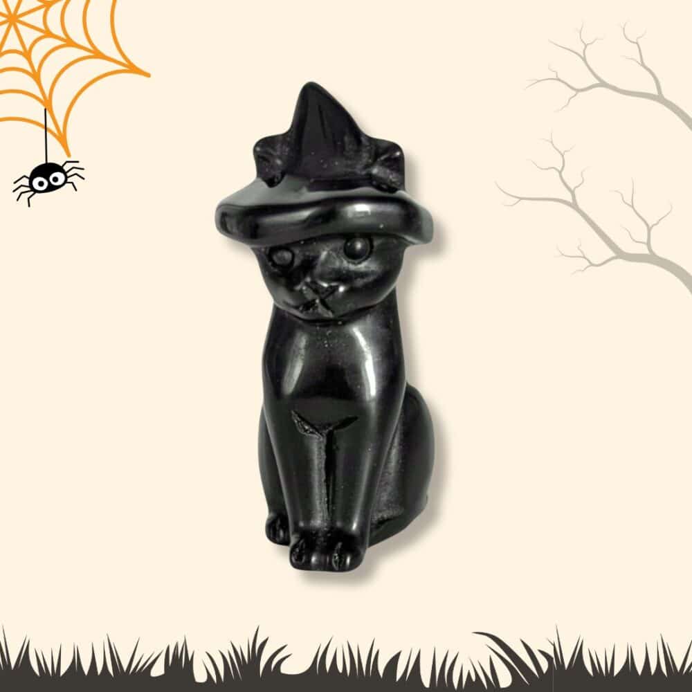 chat halloween obsidienne (3)