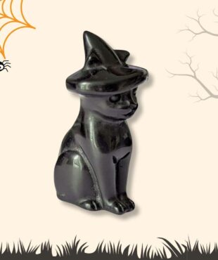 chat halloween obsidienne