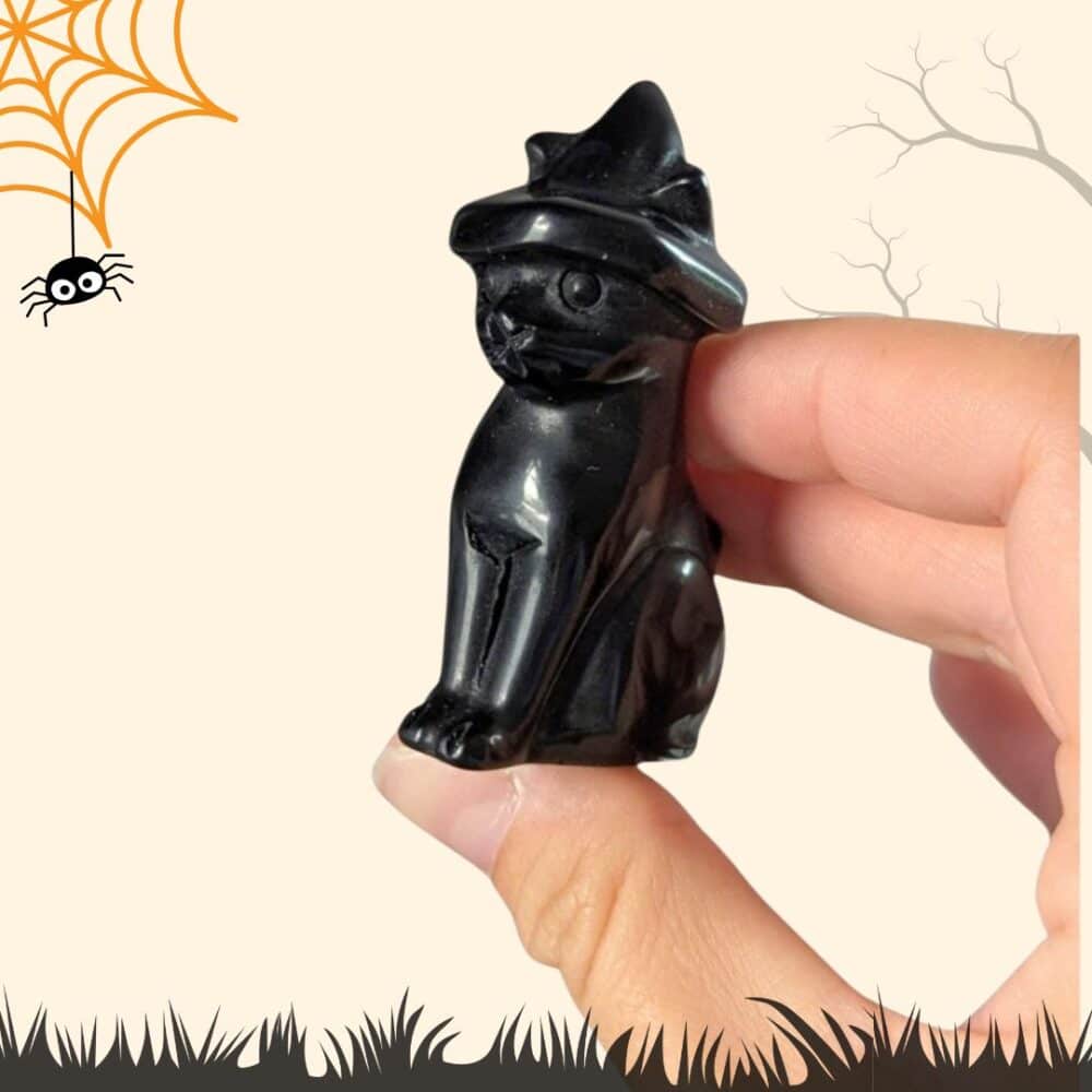 chat halloween obsidienne (4)