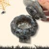 intérieur citrouille labradorite
