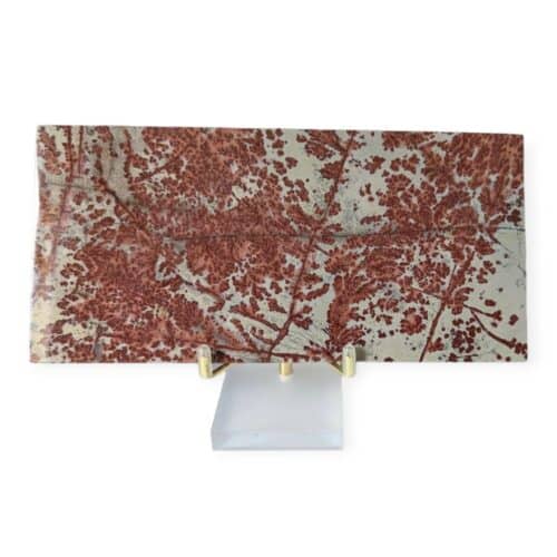 jaspe multicolore tranche polie n°2